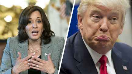 Врач назвал, какие болезни нашли у Харрис. Что известно о здоровье Трампа?