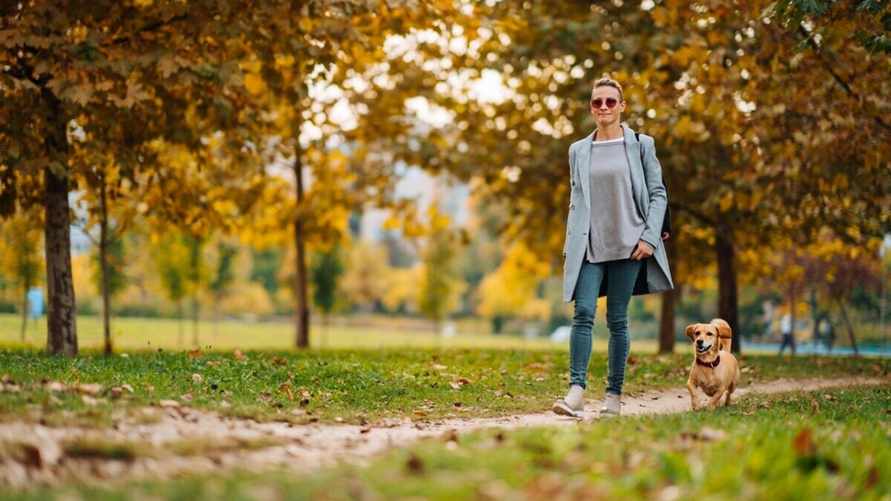 Фото иллюстрационное