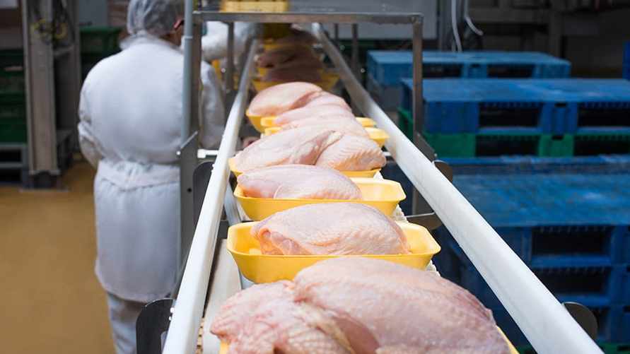 Фото иллюстрационное