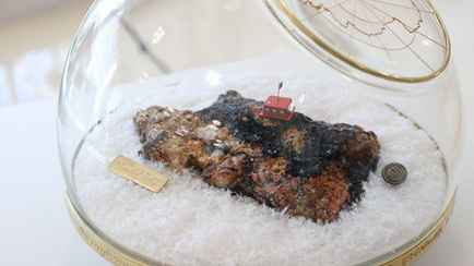 Лукашенко поручил использовать исследования Антарктиды в Беларуси и спросил, можно ли ему там пожить