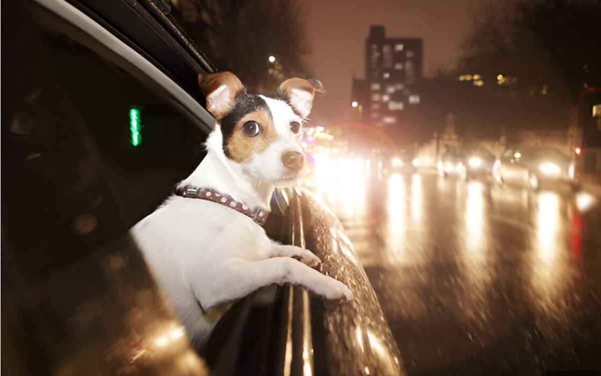 Фото иллюстрационное