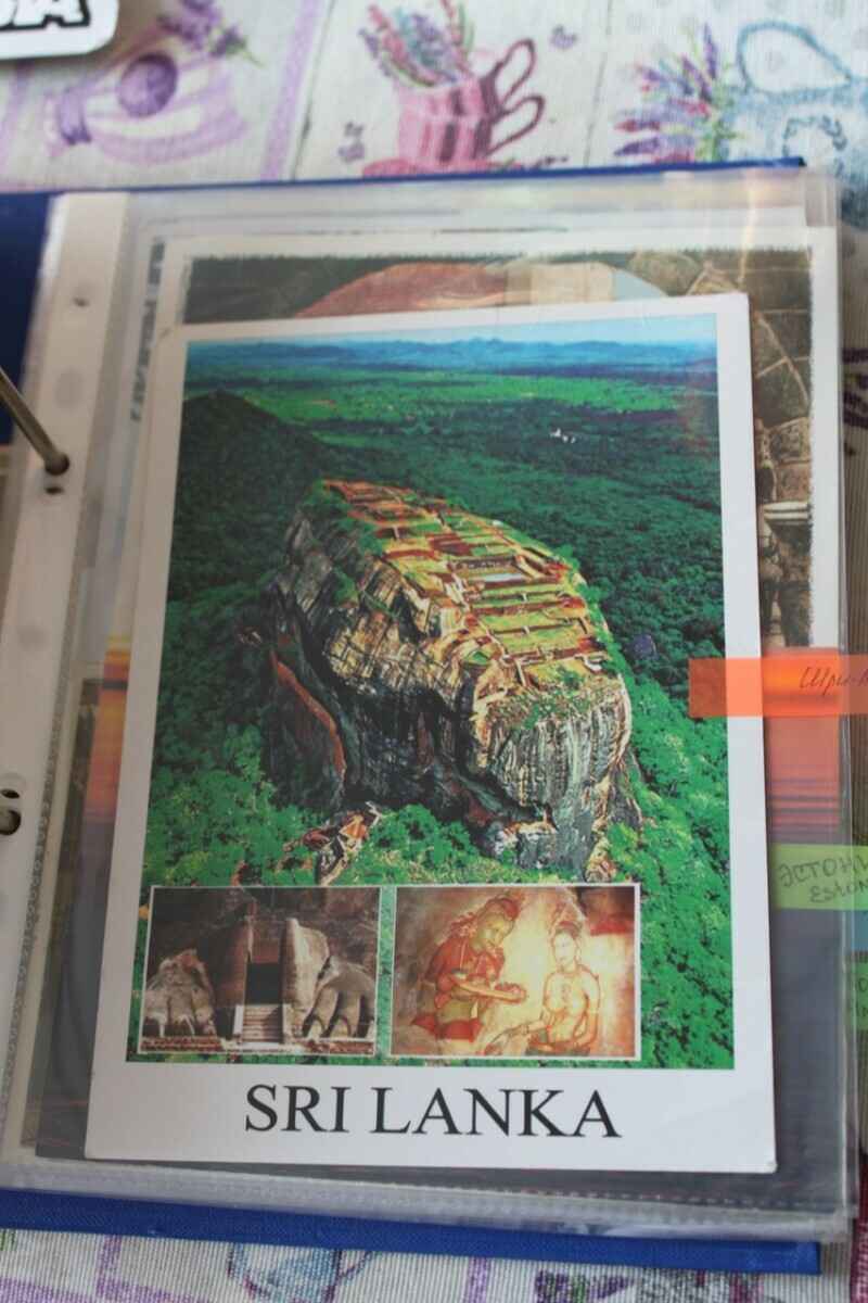 Минус месячная зарплата в год на «макулатуру»? Узнали, как и чем живут посткроссеры в Беларуси