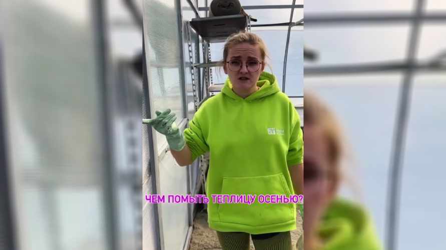 “Велосипед изобретать не нужно” — Садовод рассказала, чем легко отмыть теплицу осенью от плесени и водорослей