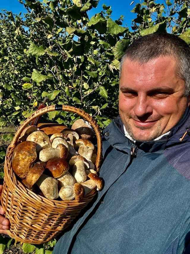 Посмотрите, какая красотень! - Белорусы показали, где после заморозков грибы растут даже под носом