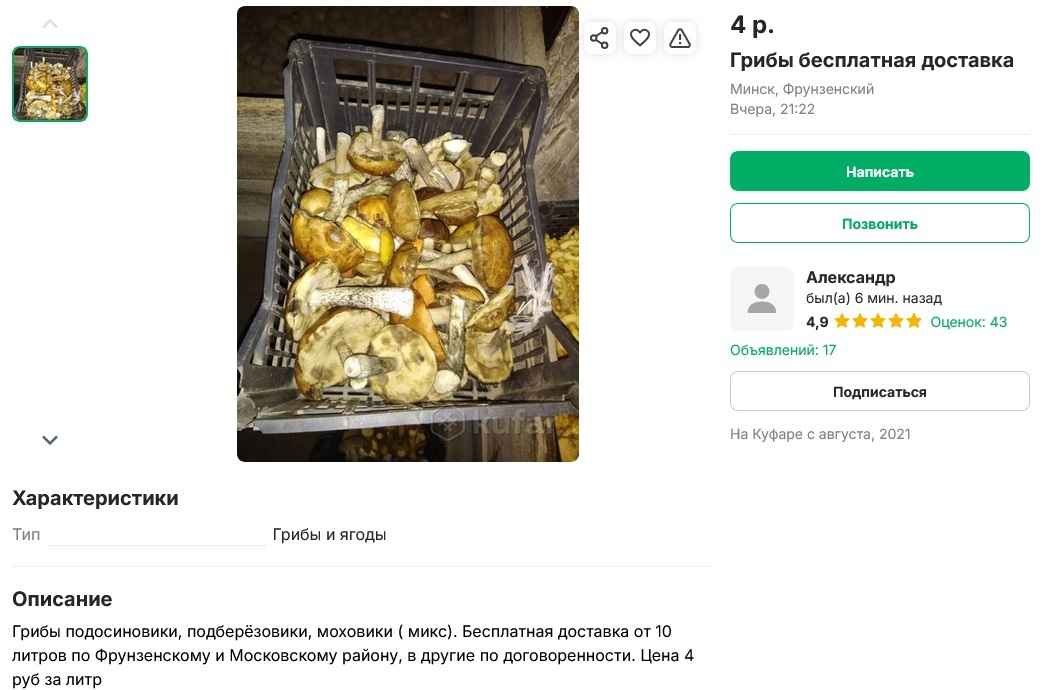 Опята – от 3 рублей, белые – от 25 рублей. Где белорусам закупиться грибами, пока в лесу «затишье»?