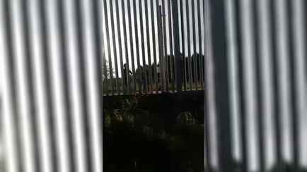 В ГПК обвинили польских пограничников в стрельбе по людям на белорусской территории. Что ответили в Польше?