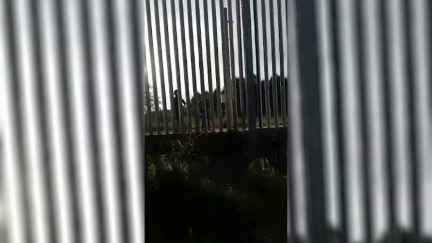 В ГПК обвинили польских пограничников в стрельбе по людям на белорусской территории. Что ответили в Польше?