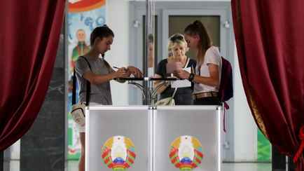 «Хочу, чтобы их тошнило от каждого кандидата» — Появился первый конкурент Лукашенко на выборах президента