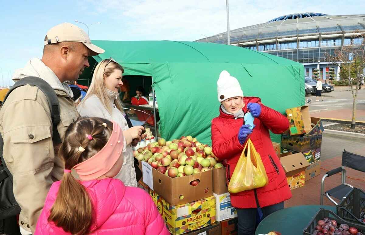 МАРТ предложил изменить условия работы ярмарок в Беларуси