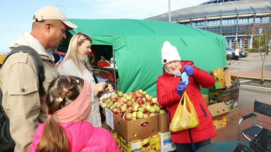 МАРТ предложил изменить условия работы ярмарок в Беларуси