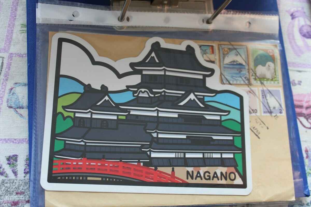 Минус месячная зарплата в год на «макулатуру»? Узнали, как и чем живут посткроссеры в Беларуси