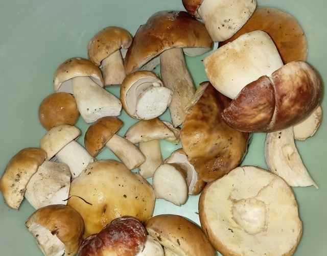 Боровики из Гомельского района, собранные 7 октября. Фото: паблик "Грибные войска"