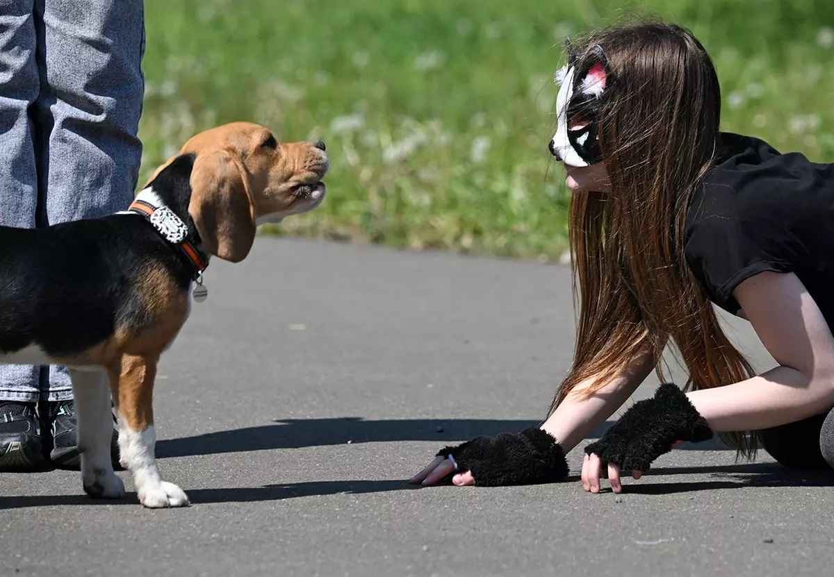 Фото иллюстрационное