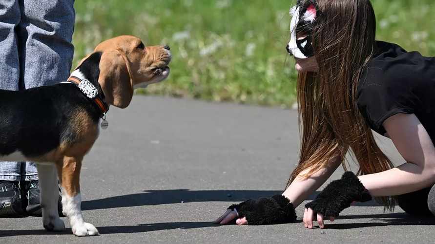 Фото иллюстрационное
