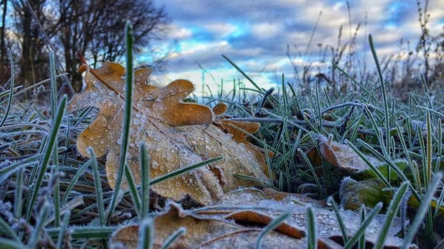 Фото иллюстрационное