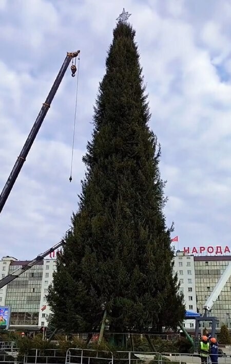 Где в Европе новогодние ёлки претендуют на звание самой высокой, кроме витебской? Собрали фото и видео