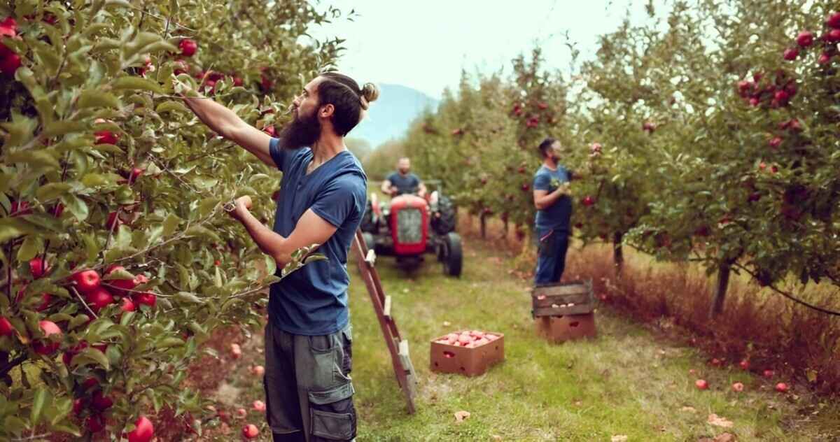 Фото иллюстративное