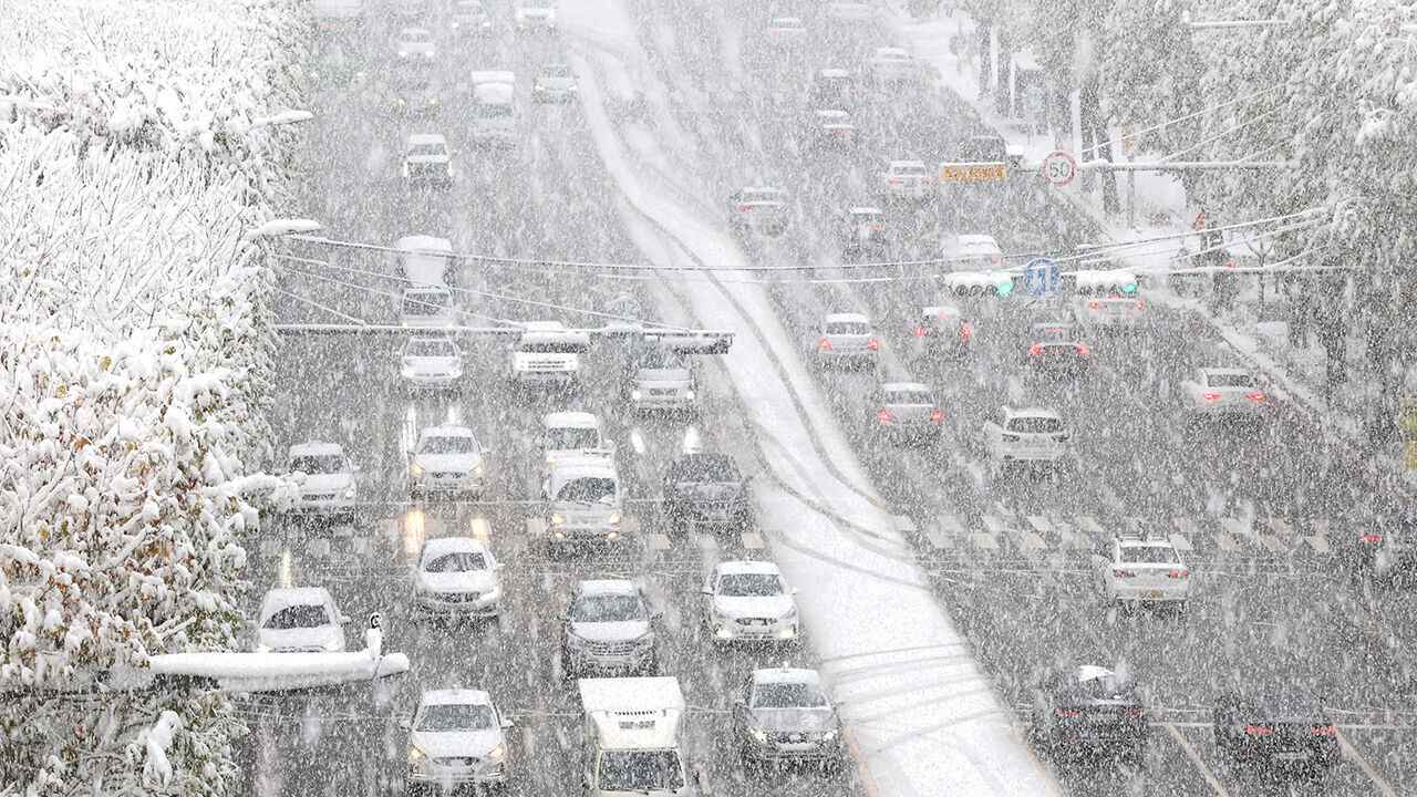 Сильнейший снегопад за 100 лет — В Южной Корее из-за резкого похолодания погибло 5 человек