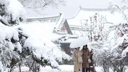 «Сильнейший снегопад за 100 лет» — В Южной Корее из-за «резкого похолодания» погибло 5 человек