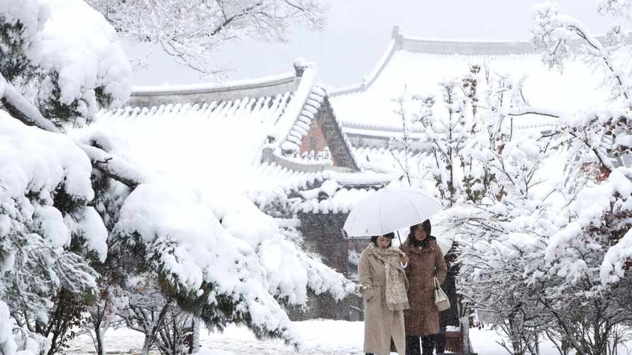 "Сильнейший снегопад за 100 лет" — В Южной Корее из-за "резкого похолодания" погибло 5 человек