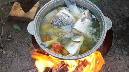 Эпидемиологи посоветовали вымачивать эту рыбу из белорусских водоёмов 15 часов прежде, чем приготовить уху