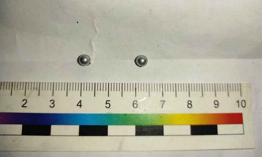 Фото: УСК по Могилевской области