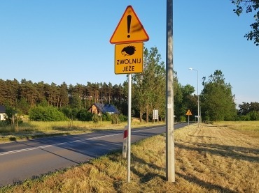 "Звучит весело" — В Польше на дорогах появился необычный знак. Что нужно сделать водителям?