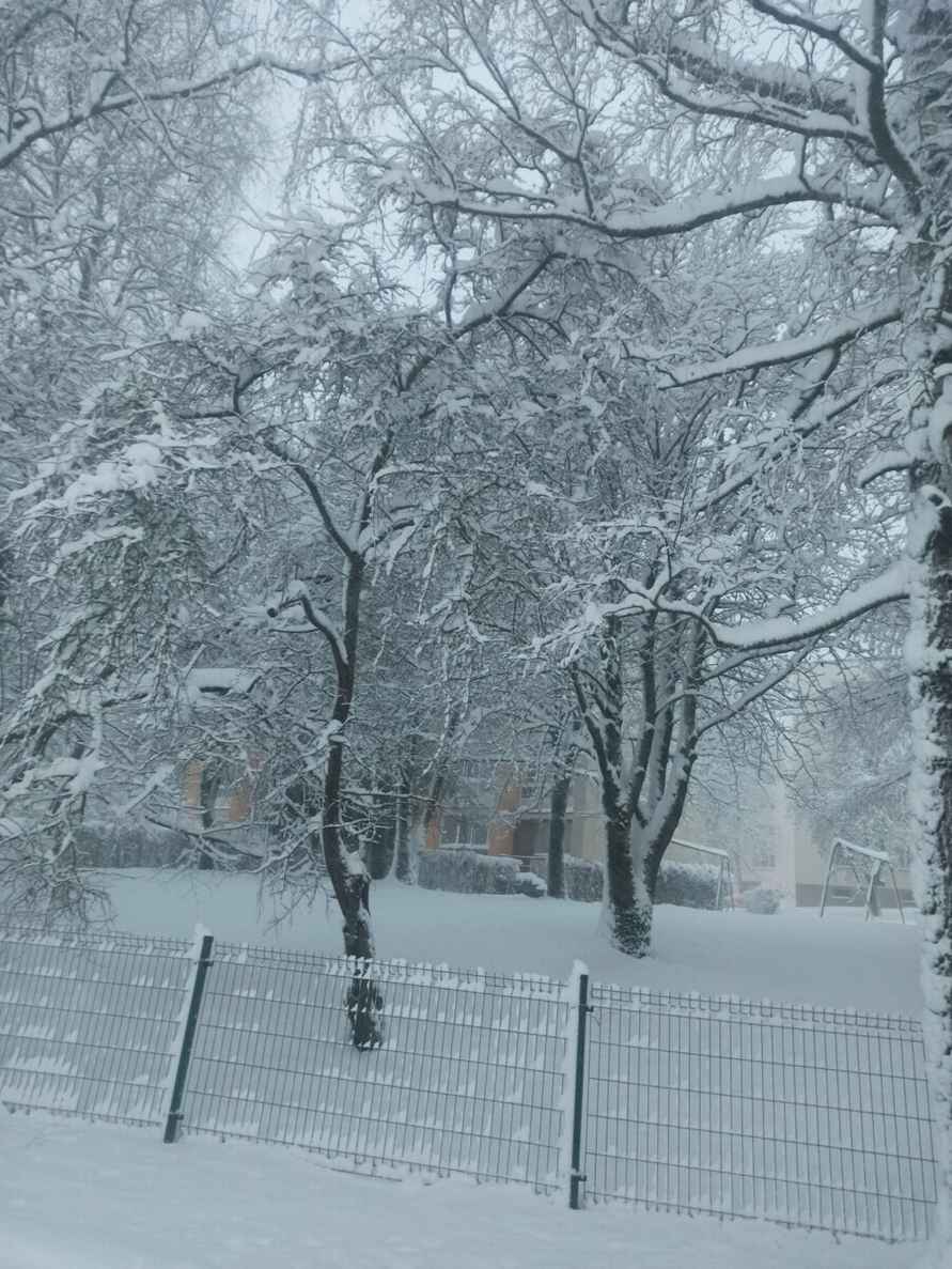 Литву за ночь накрыло снегом. Где сверкали зимние молнии?