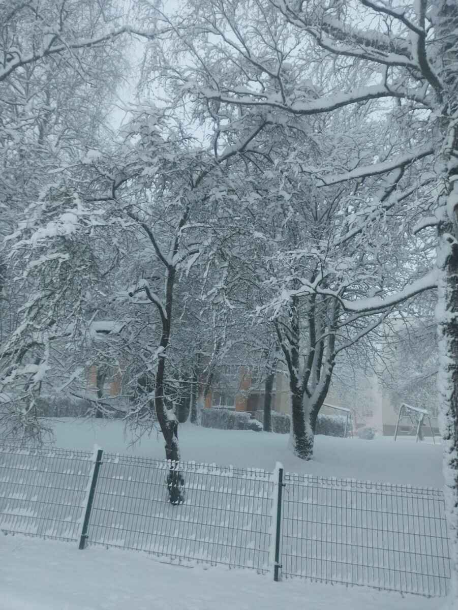 Литву за ночь накрыло снегом. Где сверкали зимние молнии?