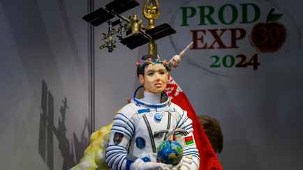 В Минске показали торты в виде космонавтки Василевской