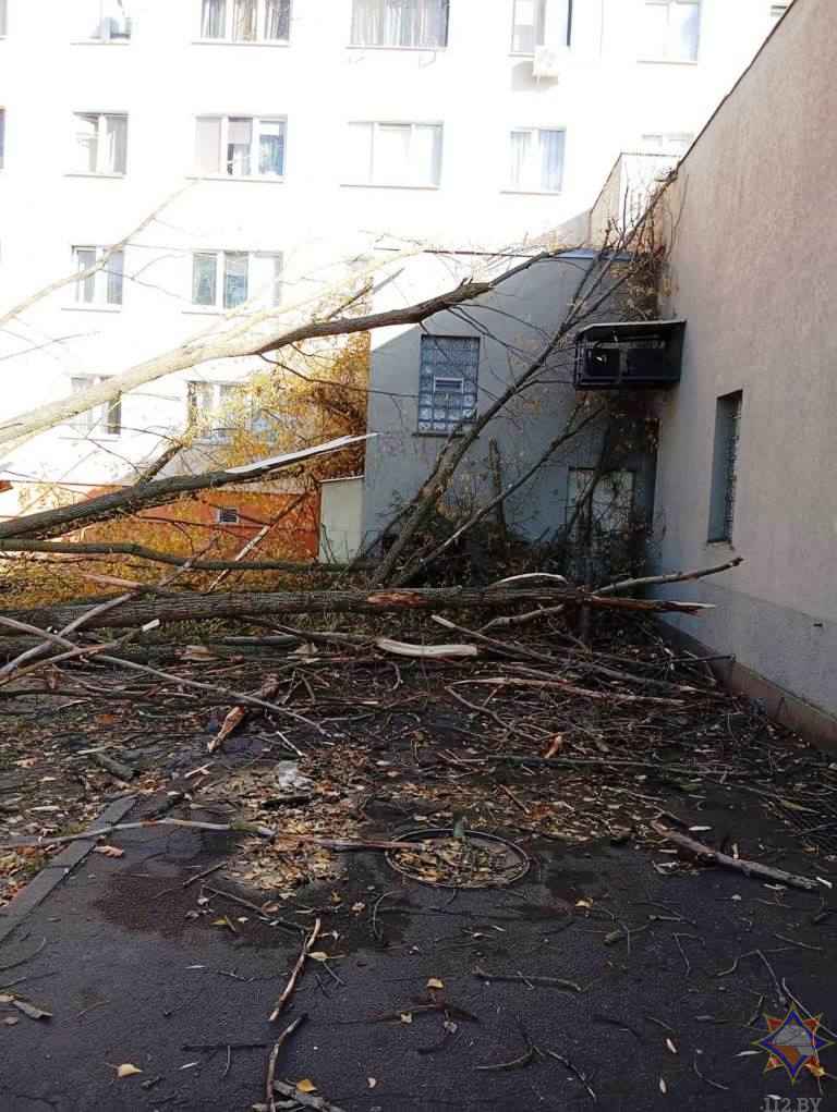 Улетевшие теплицы, повреждённые авто и тысячи домов без света. МЧС Беларуси и энергетики показали последствия сильного ветра