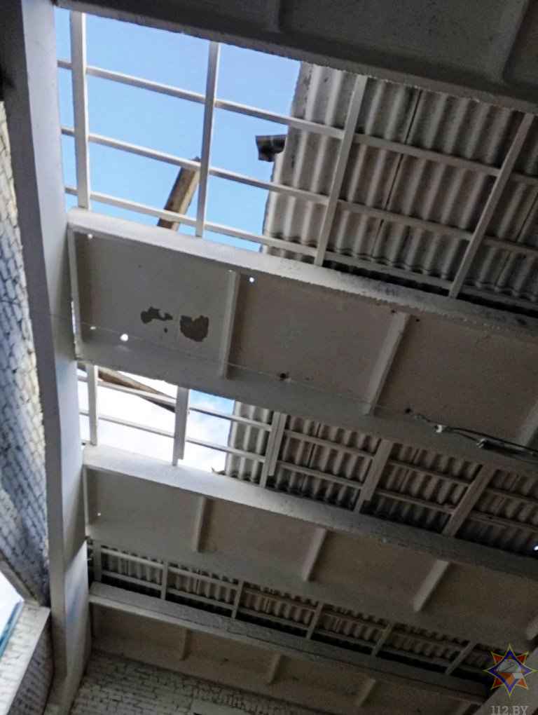 Улетевшие теплицы, повреждённые авто и тысячи домов без света. МЧС Беларуси и энергетики показали последствия сильного ветра