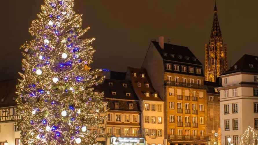 Самая большая ёлка в Страсбурге. Фото: jds.fr