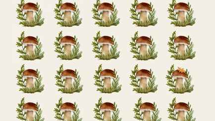 Лучшие решают эту грибную головоломку за 10 секунд. Напрягите зрение и найдите 3 отличия