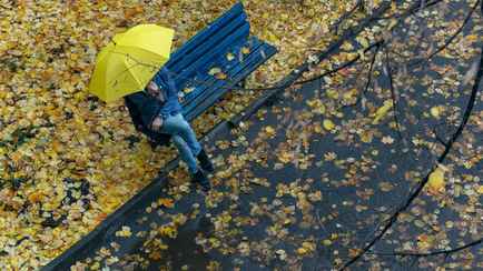 Каким будет ноябрь в Беларуси? Синоптики рассказали, где будут проливные дожди и ждать ли морозов