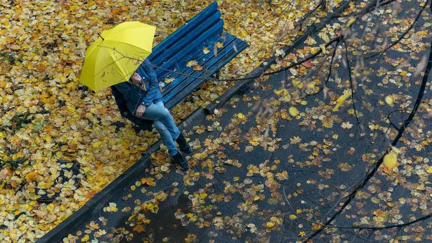 Фото иллюстрационное