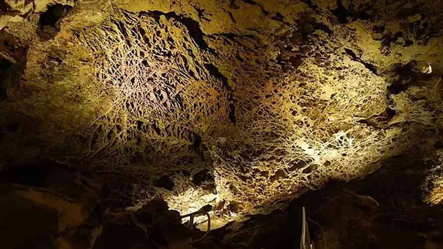 На фото: Национальный парк Wind Cave в Северной Дакоте, на потолке которого находятся одни из самых паутинных «коробок» Америки