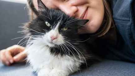 «Чувствовала, что мое тело отторгает глаз» — Кошка чихнула на хозяйку, и ту поразила инфекция. Как обезопаситься?