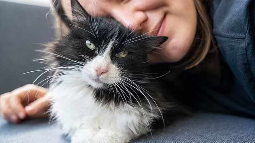 Фото иллюстрационное