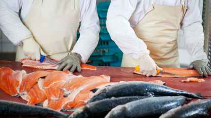 Россельхознадзор обнаружил в белорусской говядине листерии, а в форели — кишечную палочку. Кто производитель?