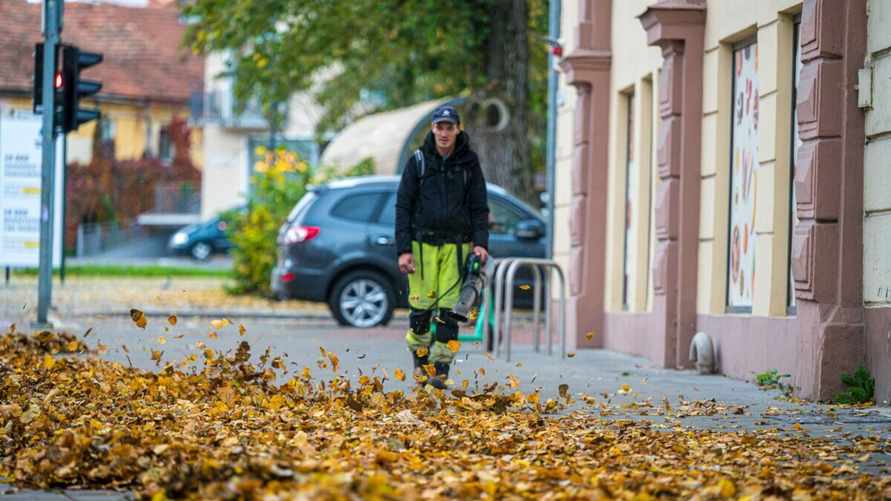 Увидят ли солнце белорусы на больших выходных? Синоптики предупредили о качелях от -6°C до +9°C антициклона ZAYYAN