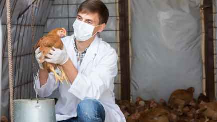 Глава Минсельхоза Беларуси предложил молодым специалистам «не обращать внимания» на зарплату, поскольку «профессию нужно любить»