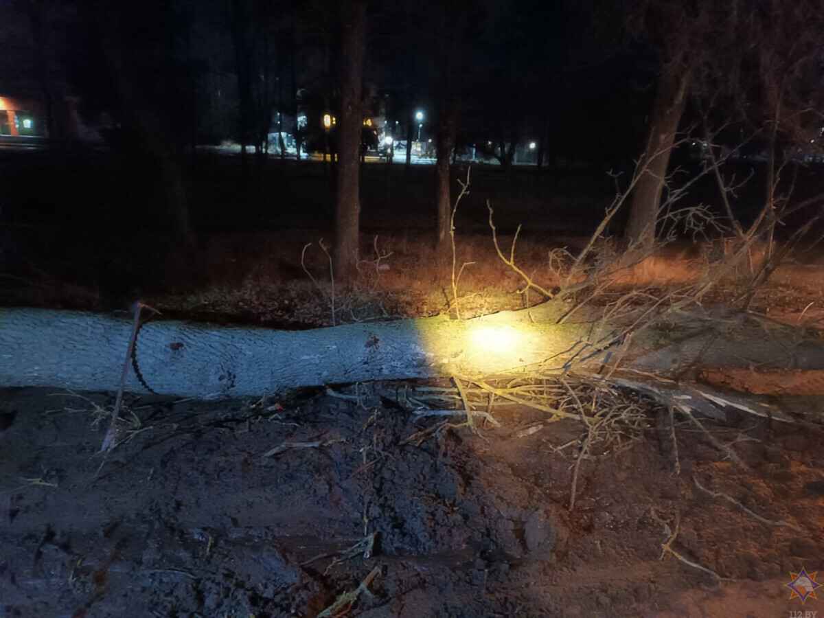 Штормовой ветер оставил без света 226 деревень и посёлков Беларуси