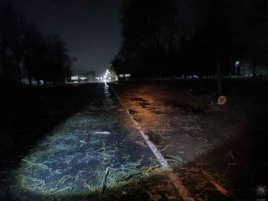 Штормовой ветер оставил без света 226 деревень и посёлков Беларуси