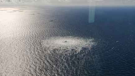 «Не ожидали» — В Германии объявили об установлении личностей двух подозреваемых в подрыве «Северного потока»