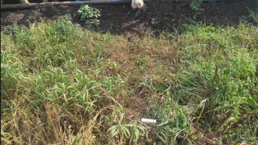 Фото: Госкомитет судэкспертиз Беларуси