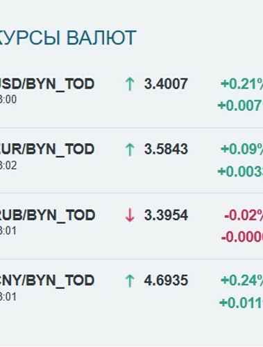 Курсы валют на 21 ноября / Скриншот: bcse.by
