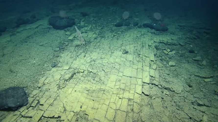 Страна Оз существует? Вот что за "желтую кирпичную дорогу" нашли ученые на дне Тихого океана