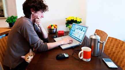 Могут ли белорусов, работающих на «удалёнке», уволить за прогул?