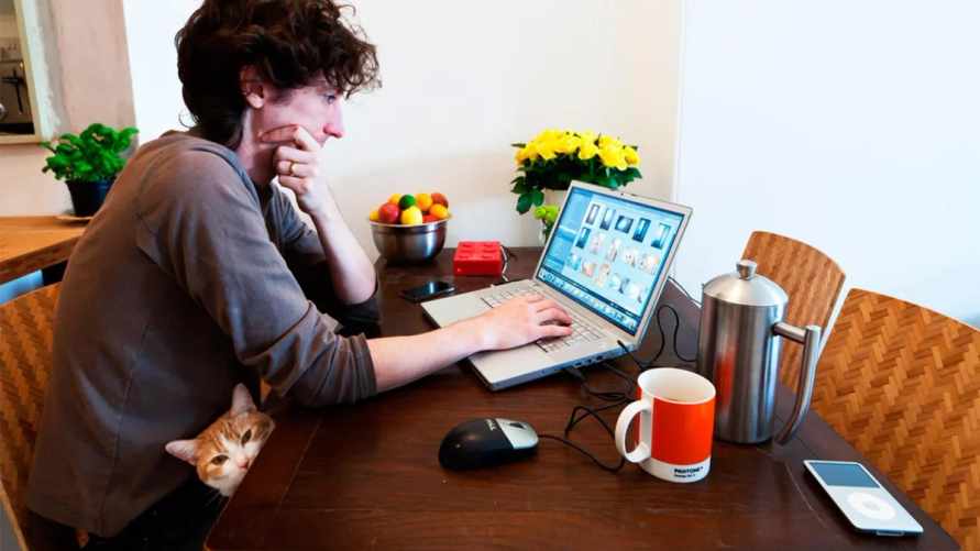 Могут ли белорусов, работающих на «удалёнке», уволить за прогул?